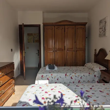 公寓 Alicia Bis 桑亨霍